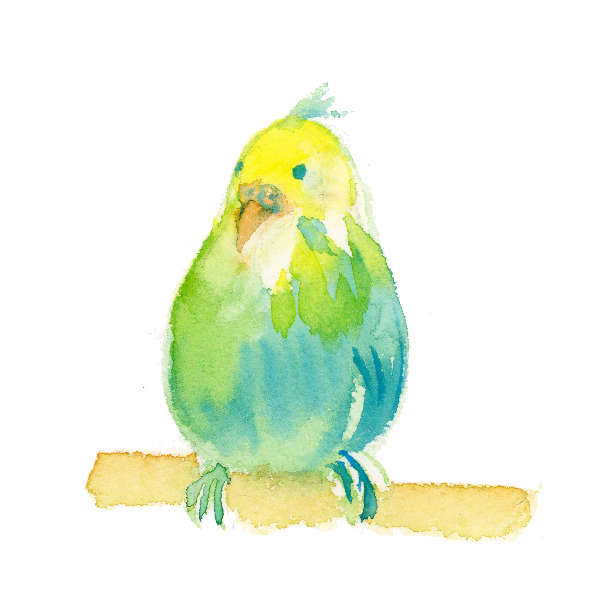 とまっている鳥 Sui Sai 水彩画イラストフリー素材集