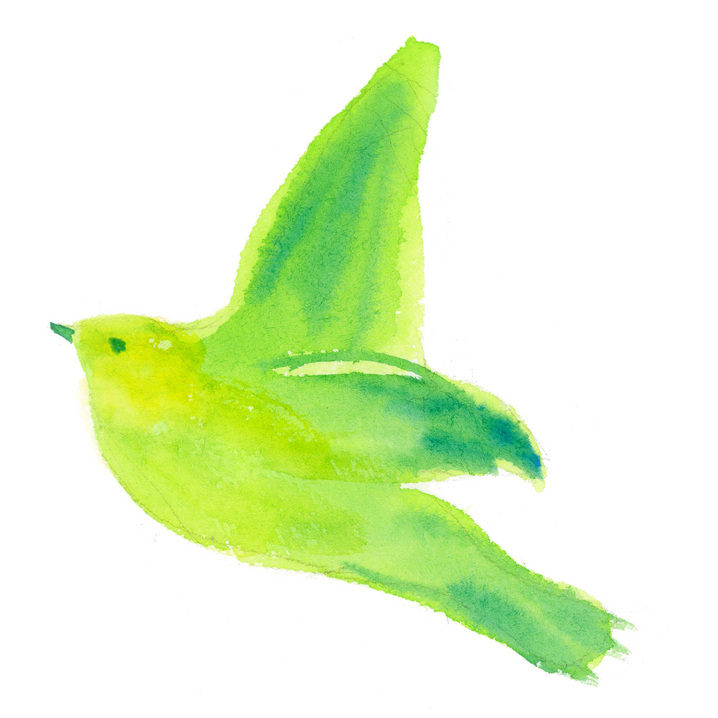 �H�΂����Ă��钹