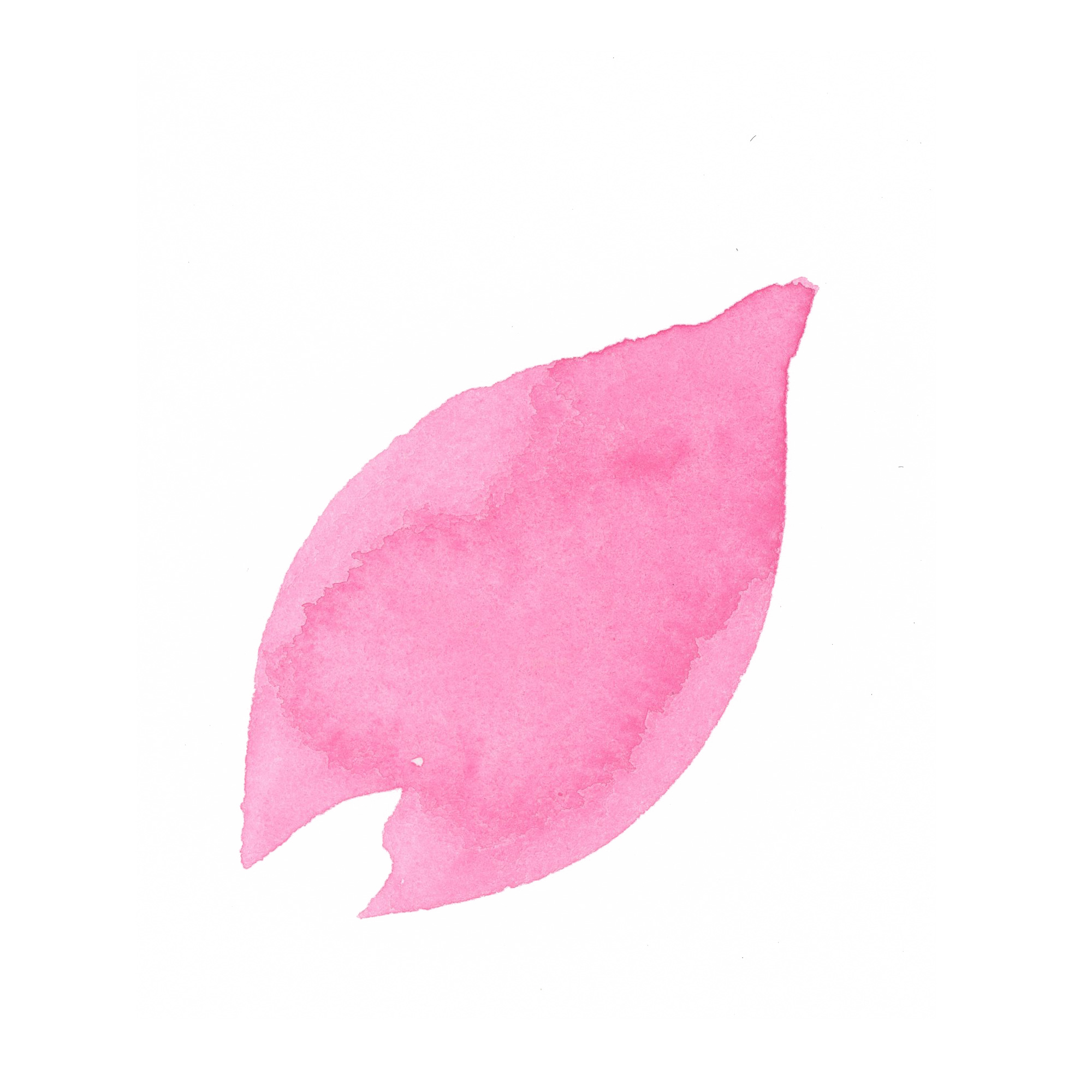 桜の花びら Sui Sai 水彩画イラストフリー素材集