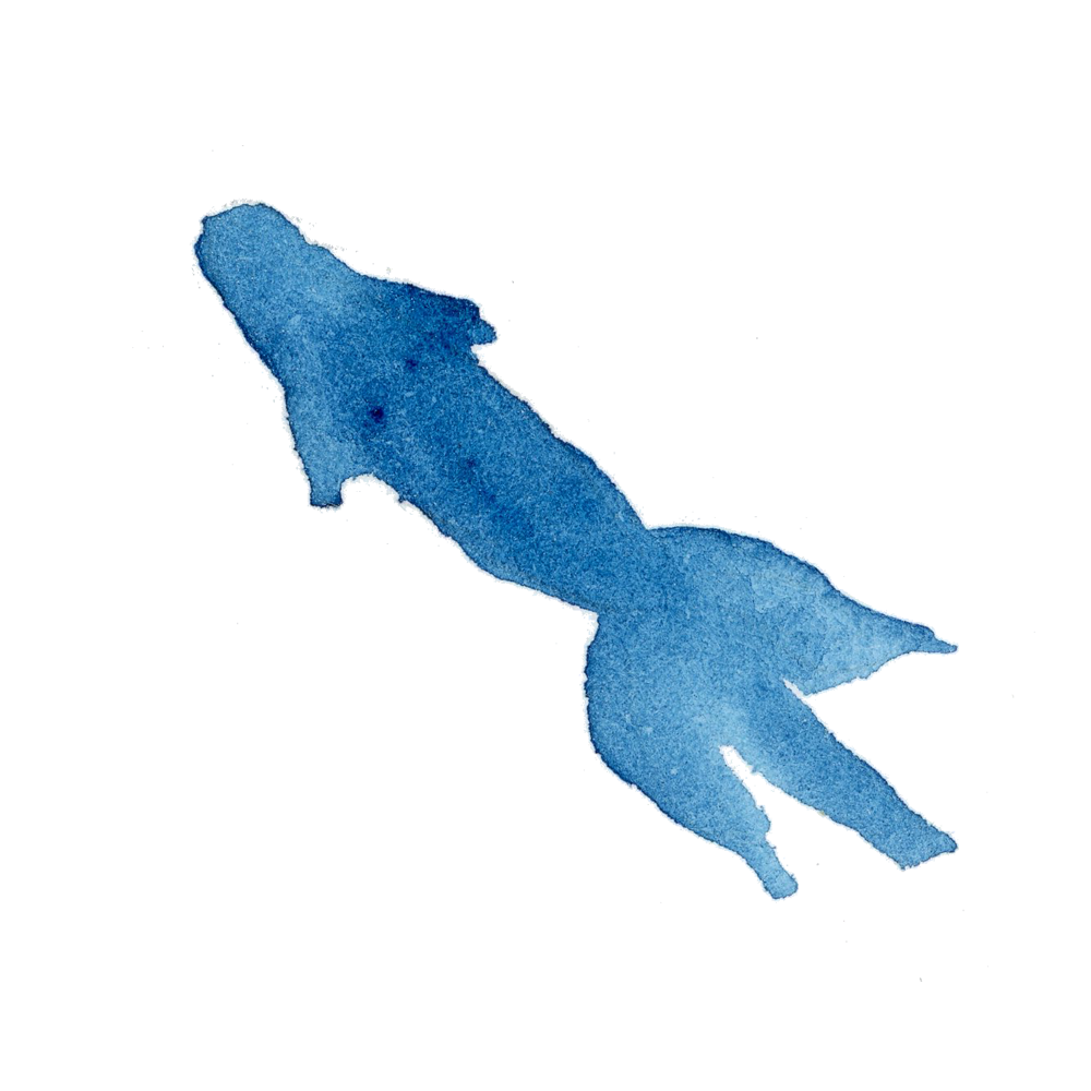 金魚