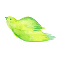 飛んでいる鳥[4]