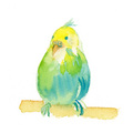 とまっている鳥[5]