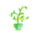 日なたの植物[31]