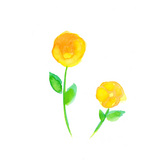 穏和な花[34]