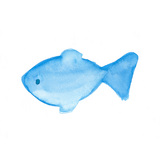ほんわかした魚[37]