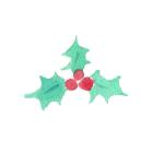 Xmasヒイラギ