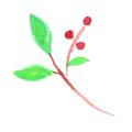赤い実の植物[269]