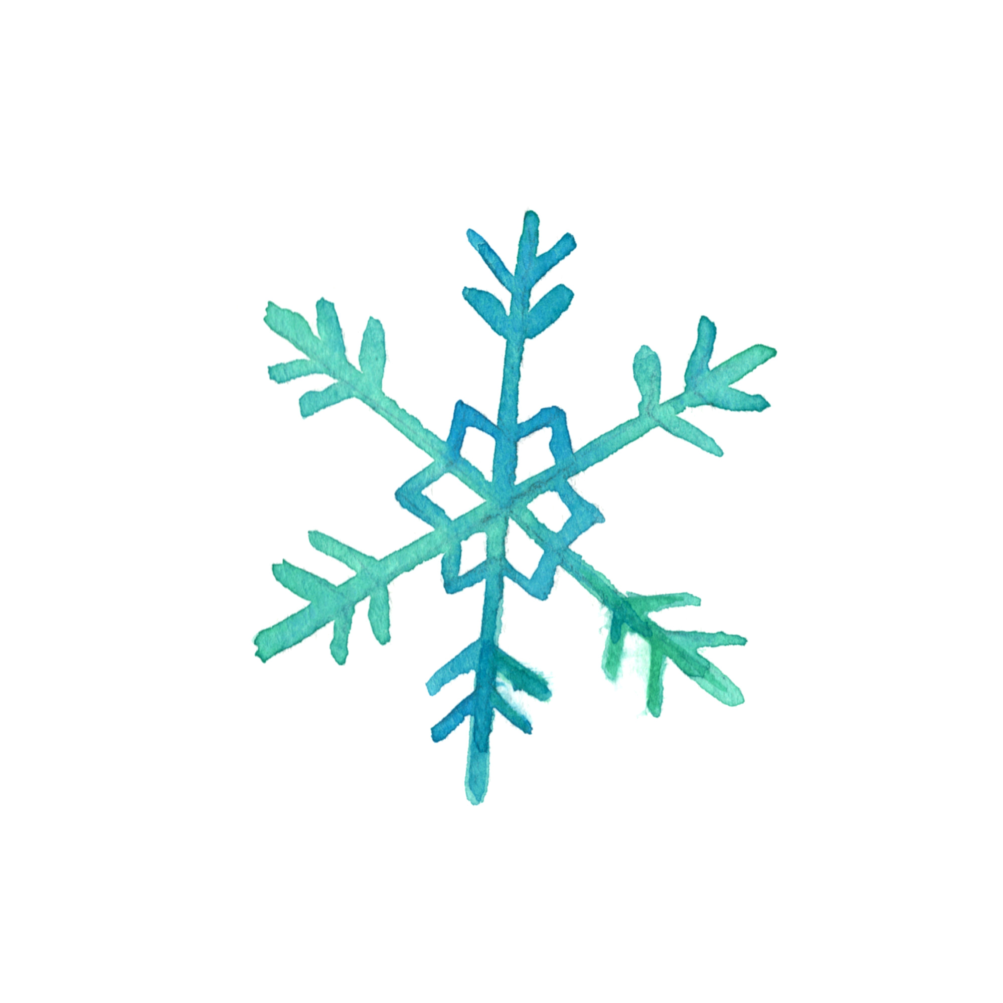 雪の結晶